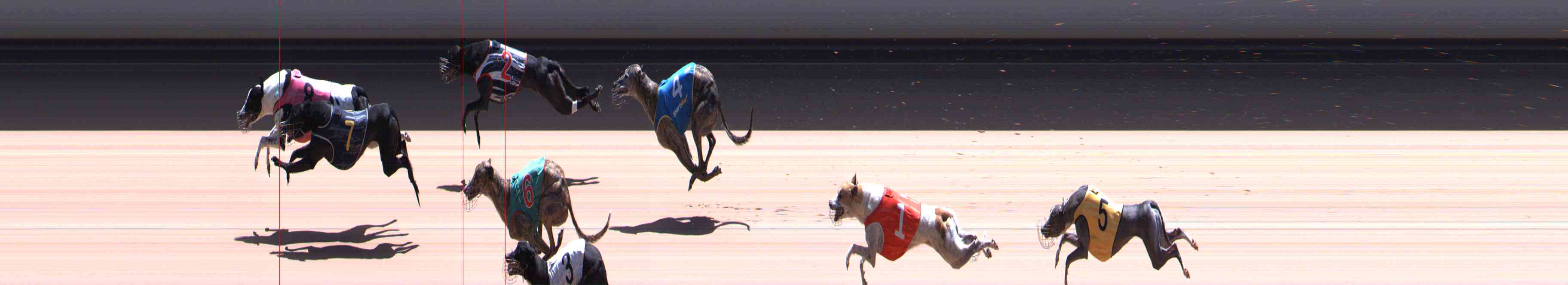 Race result finish photo